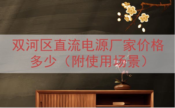 双河区直流电源厂家价格多少（附使用场景）